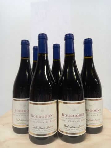 null 6 bottles of Hautes Côtes de Beaune 2018 Paul Henri Lacroix