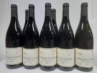 null 7 bouteilles de Moulin à vent Cru du Beaujolais 2019 Grand Millésime Les Celliers...