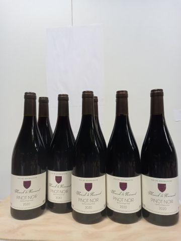 null 8 bouteilles de Bourgogne Pinot Noir 2020 Marcel de Normont