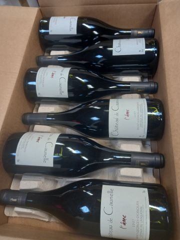 null 6 bouteilles de Saint Georges D'Orgues 2007 Grand Vin du Languedoc Château Canuelle...