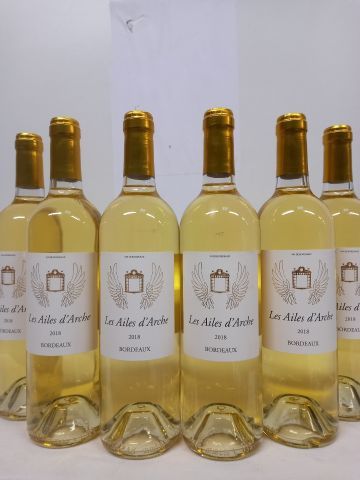 null 6 bouteilles de Château D'Arche 2018 Les Ailes d'Arches Bordeaux