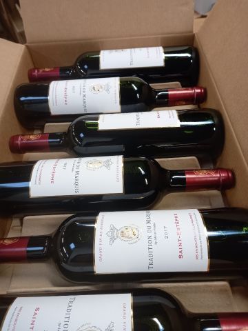 6 bouteilles de Saint Estèphe 2017 Marquis...