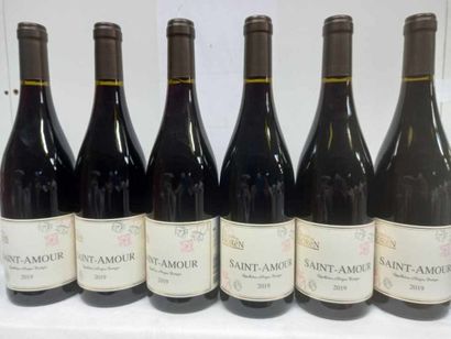 null 6 bouteilles de Saint Amour 2019 Cru du Beaujolais Les Celliers de Sorën