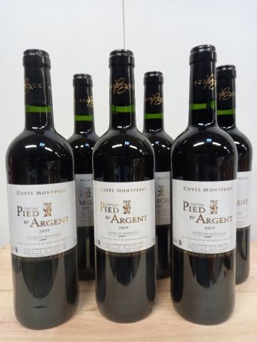 6 bouteilles de Château Pied d'Argent 2019...