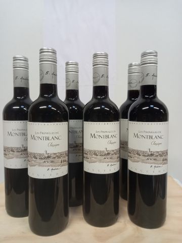 null 6 bouteilles de Domaine des Prunelles 2018 Montblanc Classique Grand Vin du...