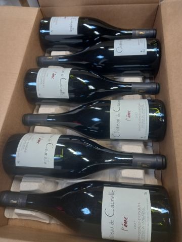 null 6 bouteilles de Château Cascadais 2014 Corbières Rouge SCEA du Domaine Cour...