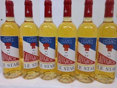 null 6 bouteilles de Sauvignon Blanc sec S/M Côtes de Gascogne Le Star