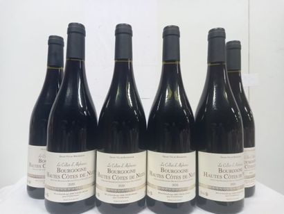 null 6 bouteilles de Bourgogne Hautes Côtes de Nuits 2020 Le Cellier d'Alphonse