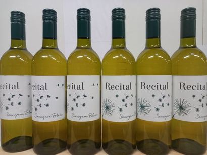 null 6 bouteilles de Sauvignon Blanc 2019 Le Recital