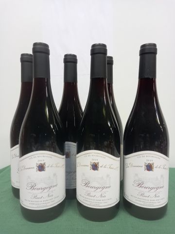 null 6 bouteilles de Bourgogne Pinot Noir 2019 Domaine de la Tassé d'Or
