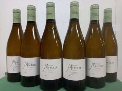 null 6 bouteilles de Château Montner 2013 Prémium Blanc Les vignerons des Côtes d'Agly...