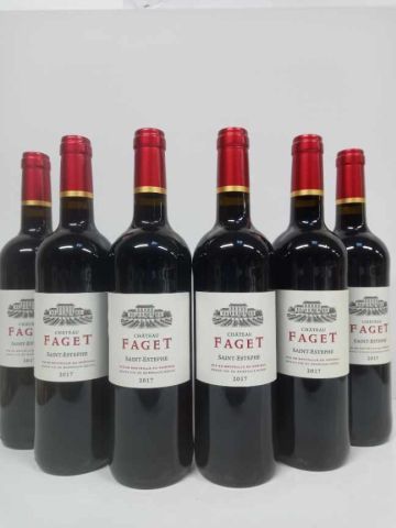 null 6 bouteilles de Château Faget Saint Estèphe 2017 SCEA du Château Domeyne