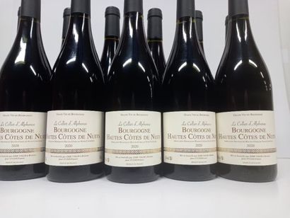 12 bouteilles de Bourgogne Hautes Côtes de...