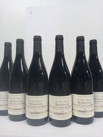 6 bouteilles de Bourgognes Hautes Côtes de...
