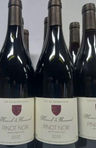 7 bouteilles Bourgogne Pinot Noir 2020 Marcel...