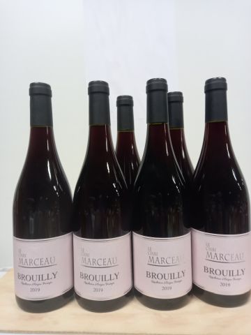null 6 bottles of Brouilly Cru du Beaujolais 2019 Grand Vintage Le Chai Marceau at...