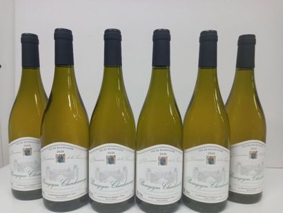 null 6 bottles of Bourgogne Blanc Chardonnay 2020 Domaine de la Tassé d'Or