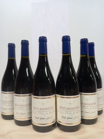 null 6 bottles of Hautes Côtes de Beaune 2018 Paul Henri Lacroix