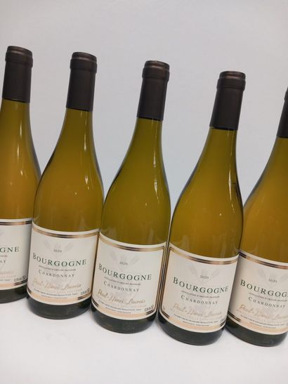 null 9 bouteilles de Bourgogne Blanc 2020 Chardonnay Paul Henri Lacroix
