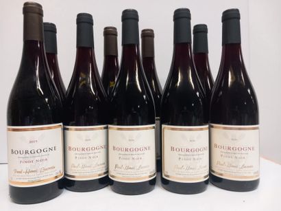null 9 bouteilles de Bourgogne Pinot Noir (6 en 2020) et (3 en 2019) Paul Henri ...