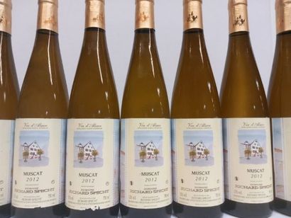 null 7 bouteilles de Alsace Muscat 2012 Domaine Richard Specht propriétaire Viti...