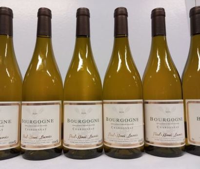 null 7 bouteilles deBourgogne Blanc 2020 Chardonnay Paul Henri Lacroix