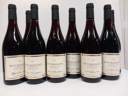 8 bouteilles de Bourgogne Pinot Noir 2020...