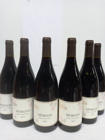 6 bouteilles de Morgon 2019 Cru du Beaujolais...