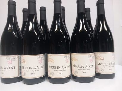 null 9 bouteilles de Moulin -à -vent 2019 Cru du Beaujolais Grand Millésime, Les...
