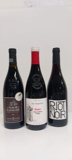 null Lot comprenant :
1 Pinot Noir 2019
1 Château Duché Duzes 2019 La Tour de Gatine...