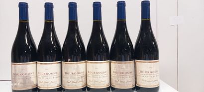 6 bouteilles de Bourgogne Hautes Côtes de...