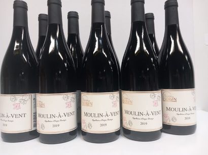9 bouteilles de Moulin -à -vent 2019 Cru...