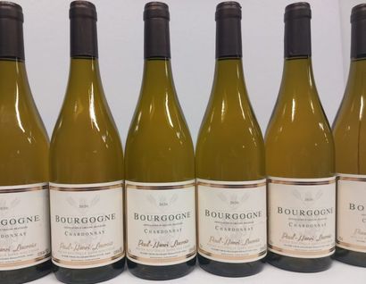 null 7 bottles of Bourgogne Chardonnay 2020 Paul Henri Lacroix