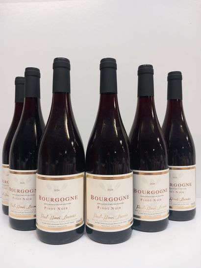 6 bouteilles de Bourgogne Pinot Noir 2020...