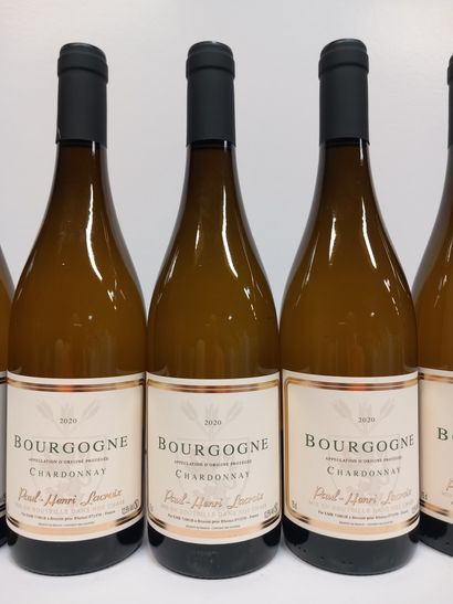 8 bouteilles de Bourgogne Chardonnay Paul...