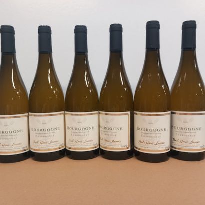 6 bouteilles de Bourgogne Blanc Chardonnay...