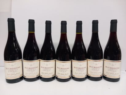 7 bouteilles de Bourgogne Pinot Noir 2020...