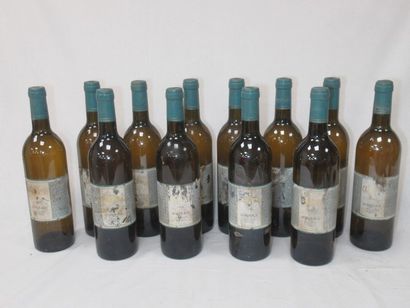 null 12 bottles of Bordeaux white wine, Alpha 1989, damaged labels.