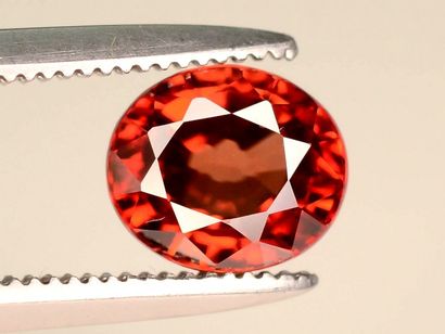 null NATURAL ZIRCON - From Cambodia - 1.56 Cts - Orange-Brown Color - Oval Size -...