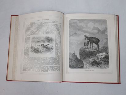 null Set of 3 books on Science: "Cent récits d'Histoire naturelle" (1884, freckles,...