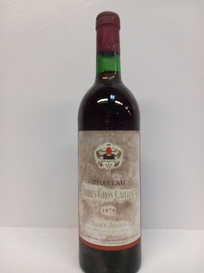 null Bottle of Saint Julien Châtau Terrey (es)