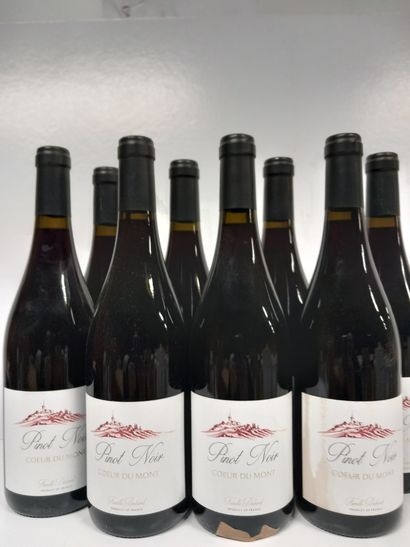 null 9 bottles of Pinot Noir 2021 Le cœur du Mont Famille Dubard