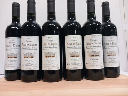 null 6 bottles of Puisseguin Saint Emilion 2010 Côtes de Rigaud Domaine Martine Borderie...
