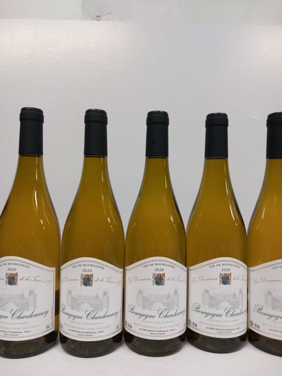 null 8 bottles of Bourgogne Blanc Chardonnay 2020 Domaine de la Tassée d'Or