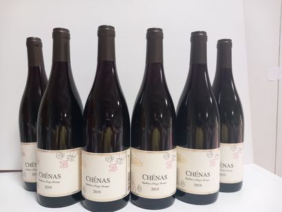 null 6 bottles of Chenas Cru du Beaujolais 2019 Le Cellier de Sorëns Grand Millé...