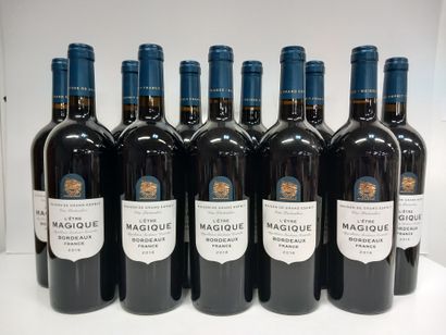 null 12 Bouteilles de Bordeaux 2016 L'Être Magique grand Vin de Bordeaux bouteille...