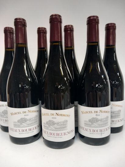 null 7 bouteilles de Coteaux Bourguigons 2020 Marcel de Normont