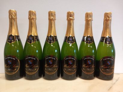 null 6 Bouteilles de Champagne Michel Sévin Brut