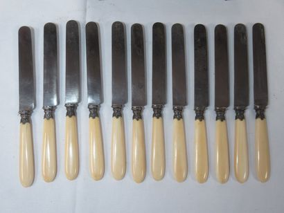 null Série de 12 couteaux de table, manches en ivoirine. Monogrammés. Dans leur ...