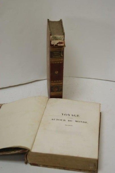 null M. DUMONT d'URVILLE, Voyage pittoresque autour du monde. Paris, Tenré, 1834....